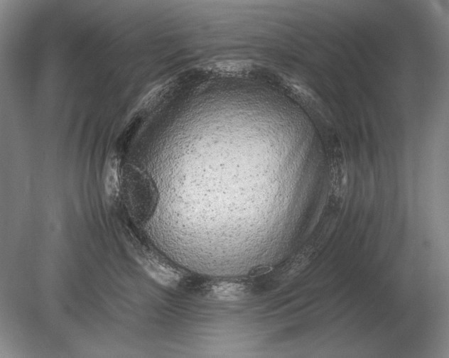 X0000079300718200612011750