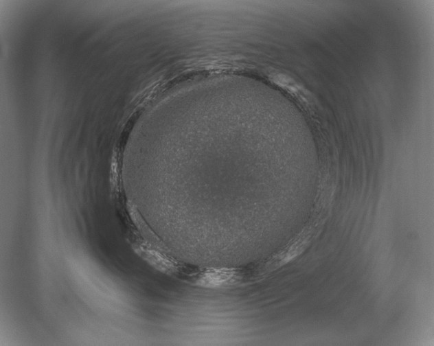 X0000079300720200612011750