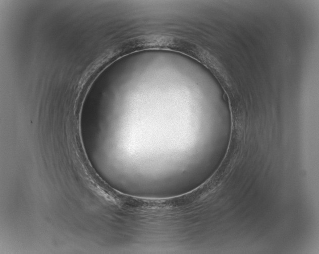X0000079300721200612011749