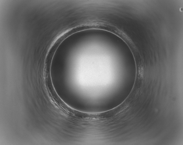 X0000079300724200612011749