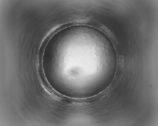 X0000079300726200612011749