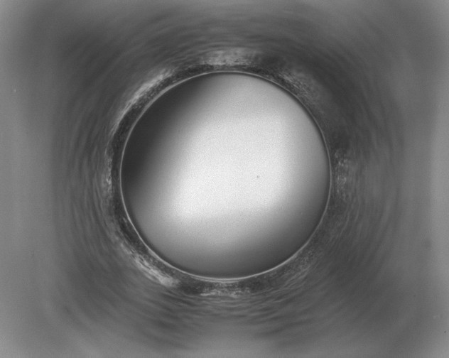 X0000079300727200612011749