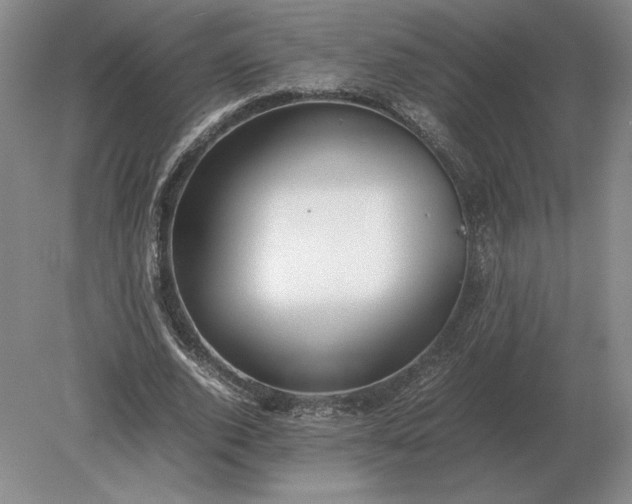 X0000079300728200612011749