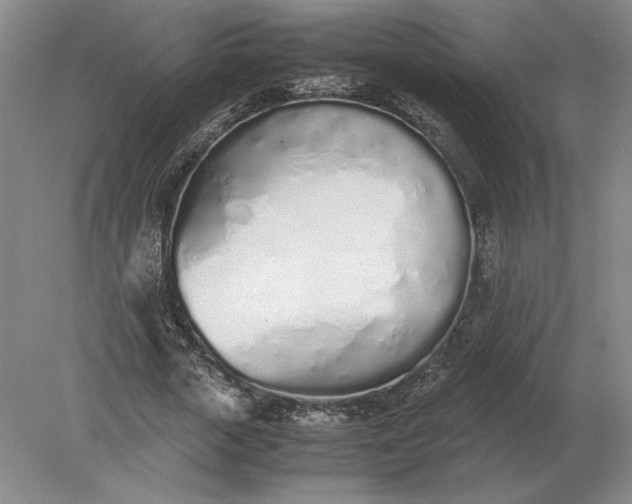 X0000079300729200612011749