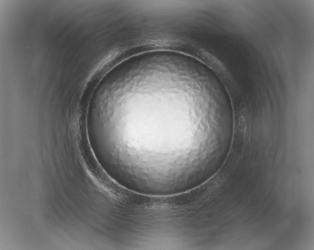 X0000079300730200612011749
