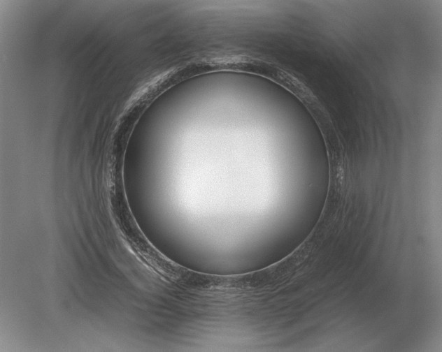 X0000079300732200612011749