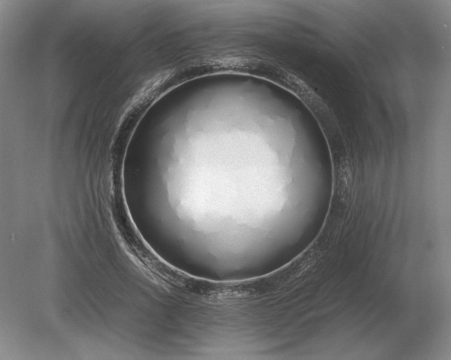X0000079300734200612011749