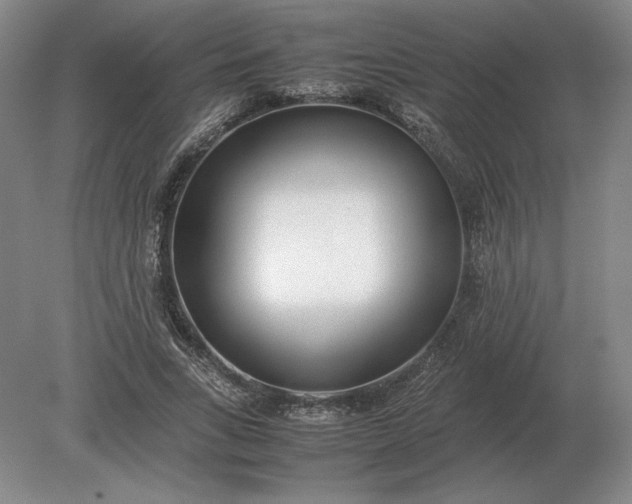 X0000079300735200612011749