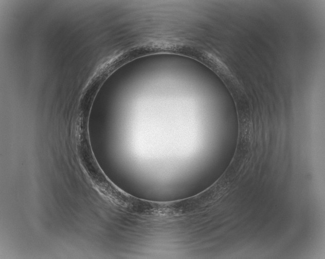 X0000079300736200612011749