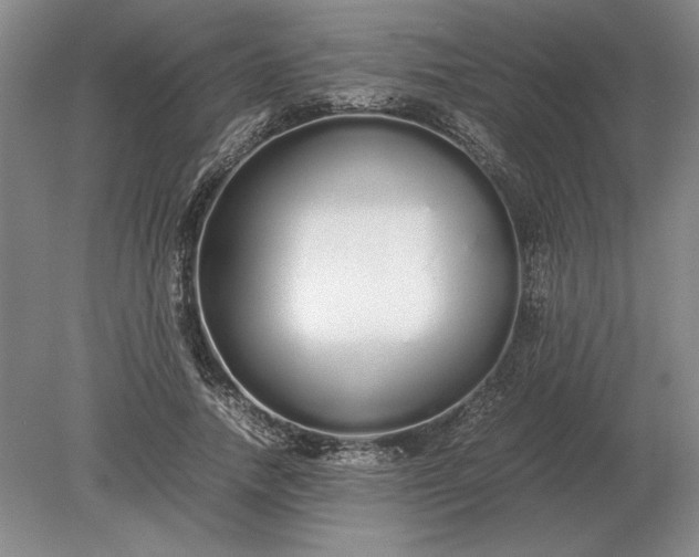 X0000079300738200612011749