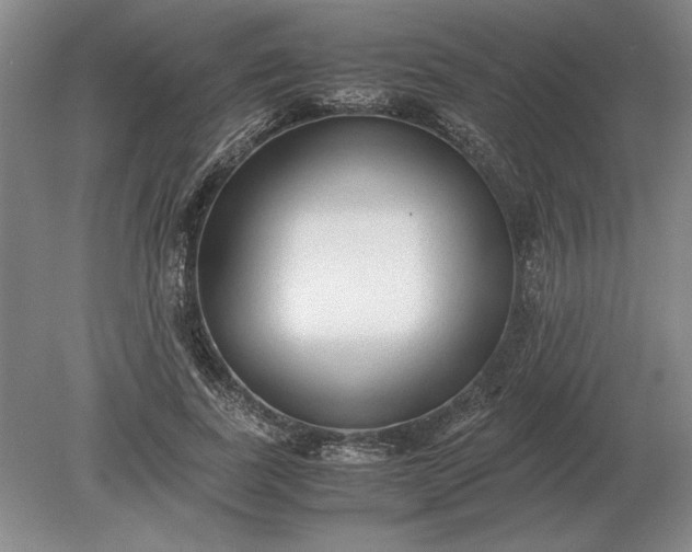 X0000079300739200612011749