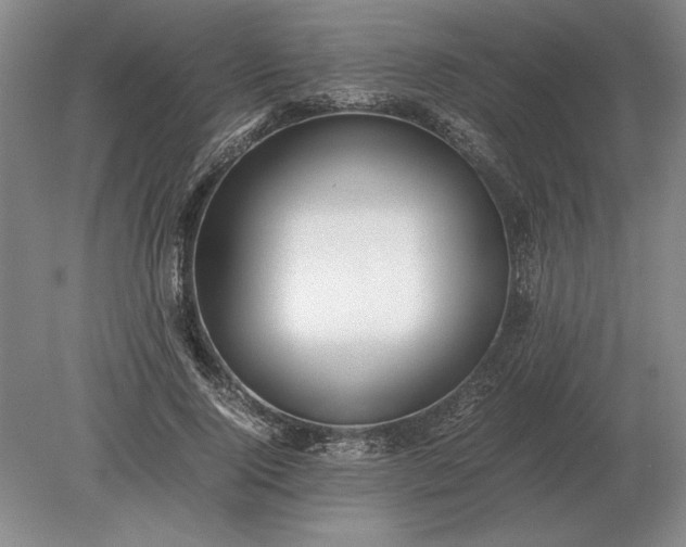 X0000079300740200612011749