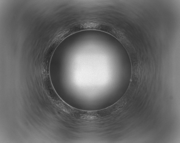 X0000079300743200612011749