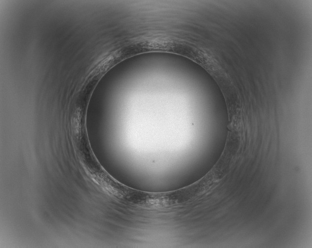 X0000079300744200612011749
