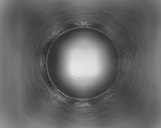 X0000079300747200612011749