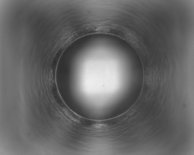 X0000079300748200612011749