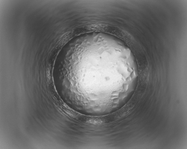 X0000079300749200612011749