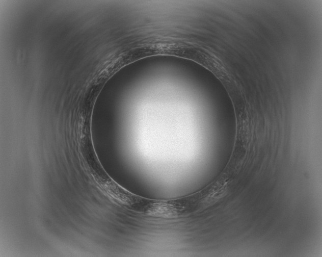 X0000079300750200612011749