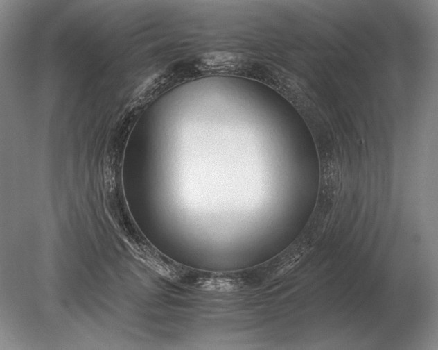 X0000079300751200612011749