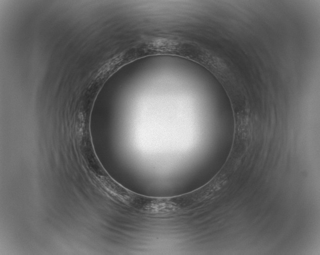 X0000079300752200612011749