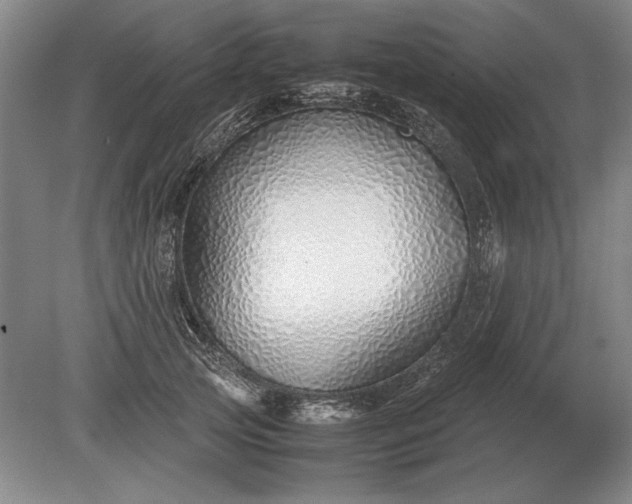 X0000079300753200612011749