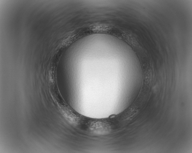 X0000079300755200612011749