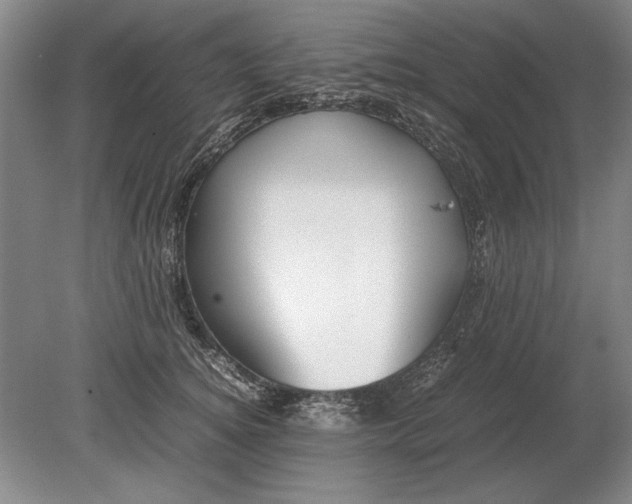 X0000079300756200612011749
