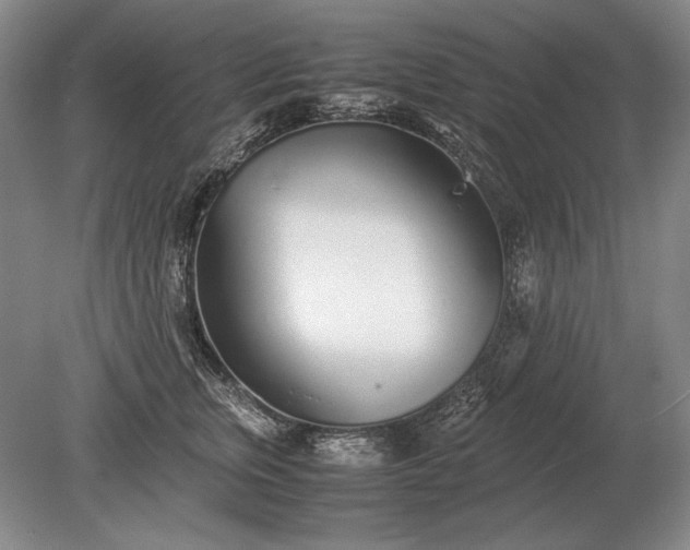 X0000079300759200612011749