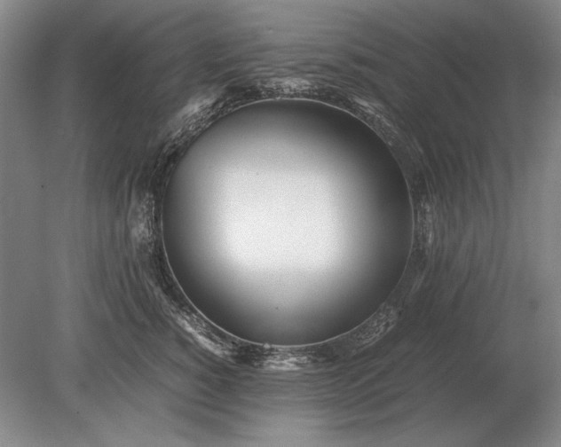X0000079300760200612011749