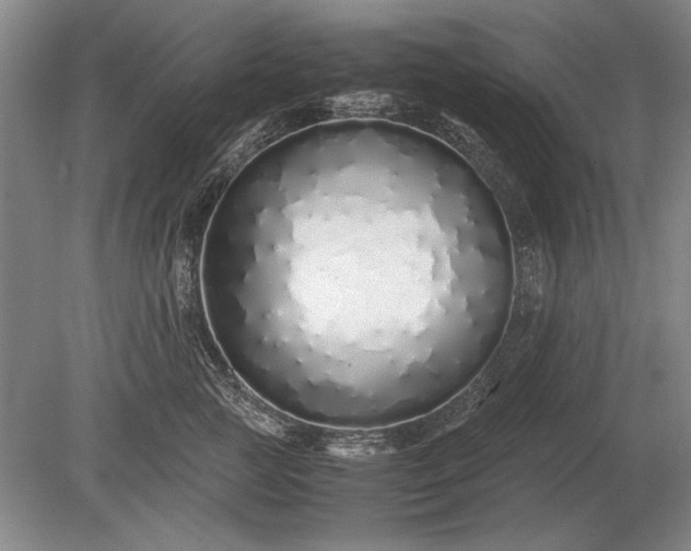 X0000079300761200612011749