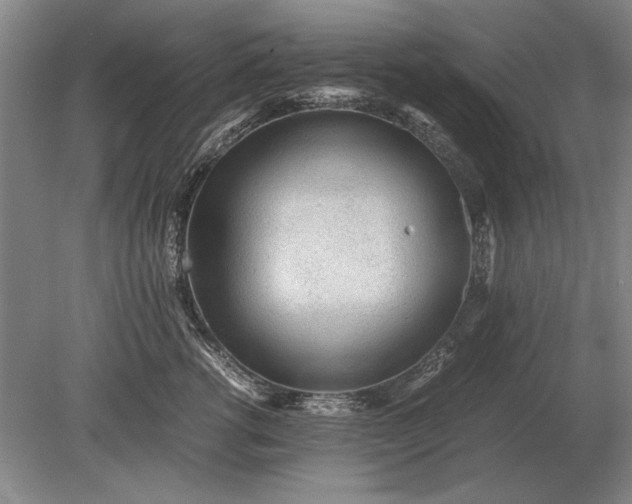 X0000079300762200612011749