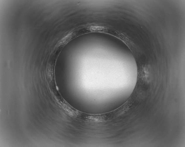 X0000079300763200612011749