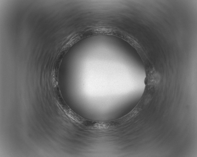 X0000079300764200612011749