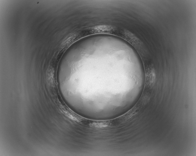 X0000079300765200612011749