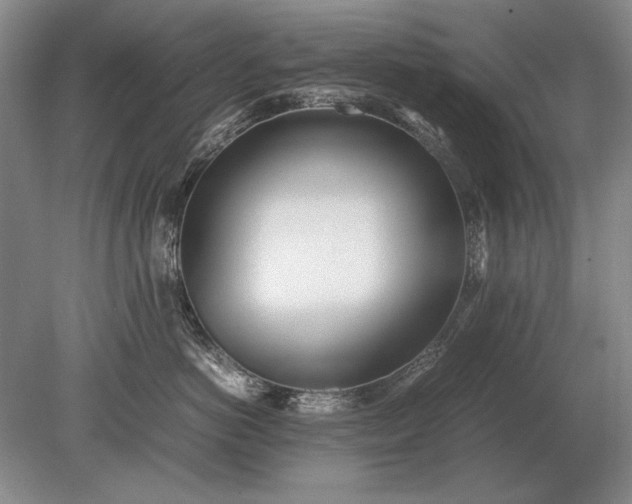 X0000079300766200612011749