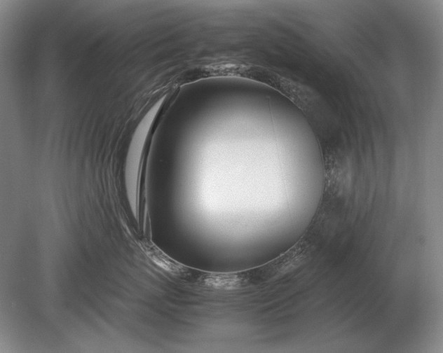 X0000079300767200612011749