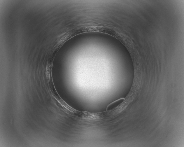 X0000079300768200612011750