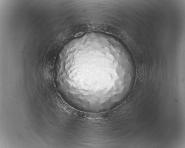 X0000079300770200612011749