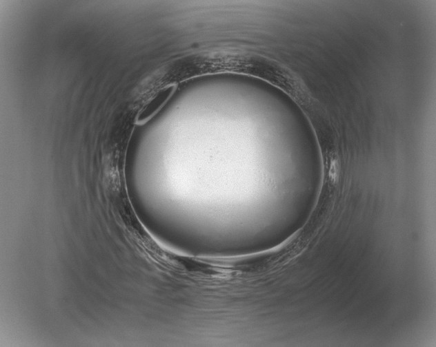 X0000079300771200612011749