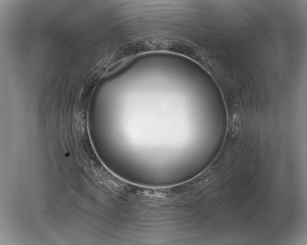 X0000079300772200612011749