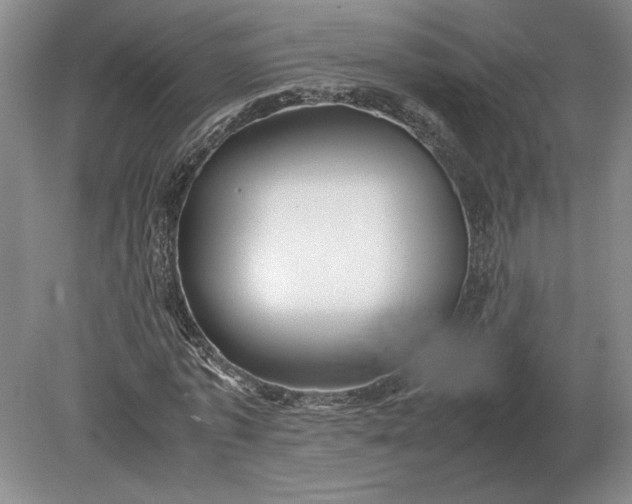 X0000079300773200612011749