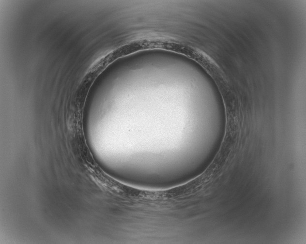 X0000079300775200612011749