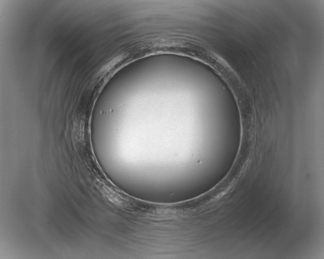 X0000079300777200612011749