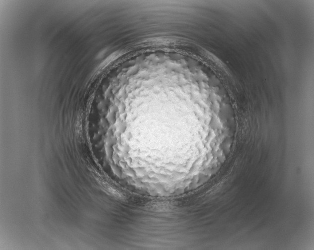 X0000079300778200612011749