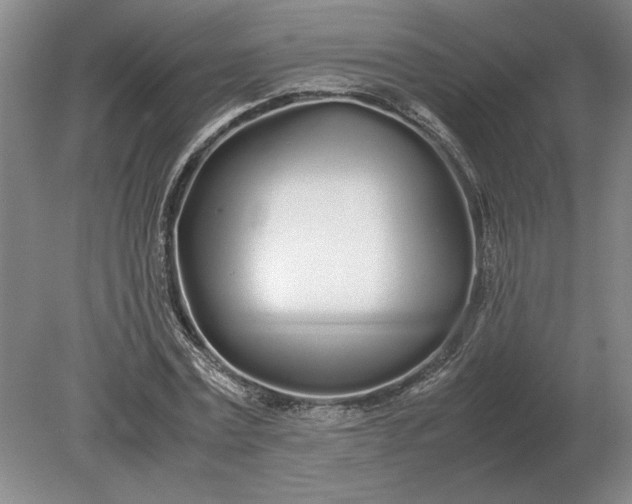 X0000079300779200612011749
