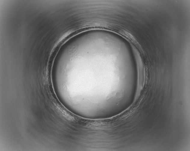 X0000079300780200612011749