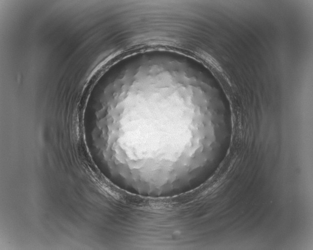 X0000079300782200612011748