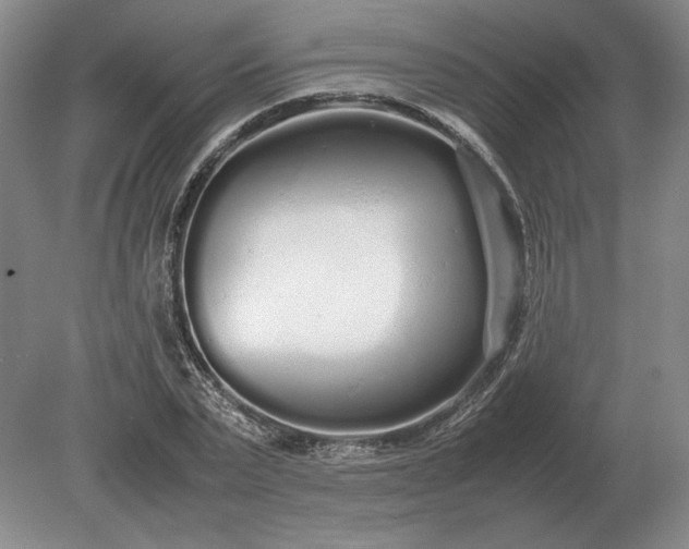 X0000079300783200612011748