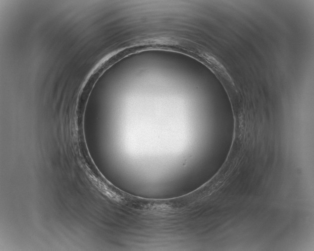 X0000079300784200612011748