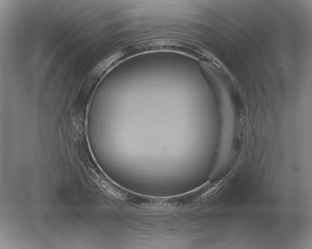 X0000079300785200612011748
